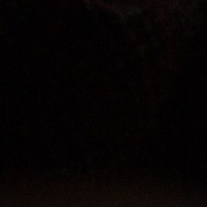 Meet your Posher, Bryan